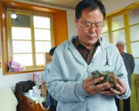 烟台福山出土古钱币为宋代窖藏:研究价值大
