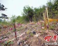 陕西卫青墓垃圾遍地:附近霍去病墓整洁有序