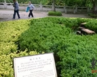 南京部分明朝文物遭人为破坏:明孝陵石刻失窃