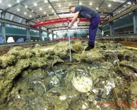 南海一号沉船大量宋瓷初现:德化窑大盘传世不多