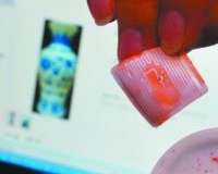 艺术品身份证难破鉴定难题