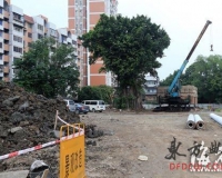 海丝遗址内建店面:福建省文物部门称不知情