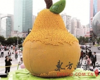 上海一展出作品遭拔毛 半数小黄鸭被拔走