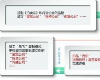 聚焦非法拍卖公司:打不倒的李鬼