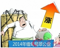 缅甸翡翠公盘量少价高:被疑饥饿营销