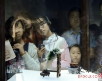 翠玉白菜在日本最后一天展出:11日亮相台北故宫