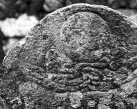 福建政和千年古墓今现身:雕刻保存完好