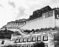 西藏寺庙文物普查需多方配合 鉴定人才缺乏(图)