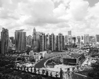 绿螺成为上海自然博物馆新家