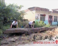 湖口发现有1500年历史乌木 将被博物馆收藏