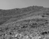 ���걻��8���������Ѳ���ı�Ա���������