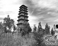 千年古寺拆迁复建:仙游寺16年未竣工