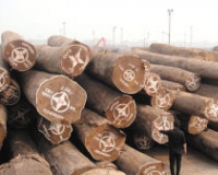 ԭľ�����ú�ľ�Ҿ����Ϲ�ɽ��