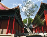 �ʹ������������״ο��� ���������������(ͼ) 