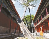 �ʹ�������·����ʮһǰ����