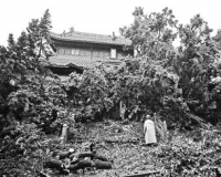 ��´��Ժ��ɵ����ѹ�� ���һ������