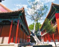 �ʹ���͢��������2015��ʮһǰ���Ųι�(ͼ)