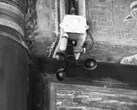 �ú�԰�����������ޣ��Ŷ�԰ǽ�������