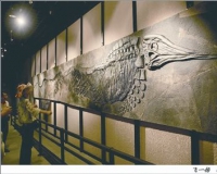 ������䲩��ݷ�չƿ�����ƽ�