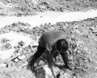 ���������ڳ����������ĹȺ ��Ϊ����Ĺ��