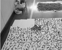 ���ӻ�180��Ƿ��̼�ֵ488���ɺ�������̷�(ͼ)