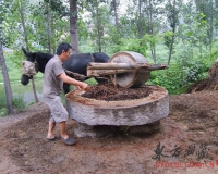 �й���ͳ��ֽ����������������