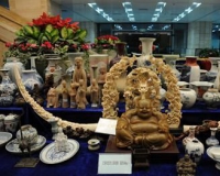 һ���Ż���͵Ĺ��£����������������Ƶ�