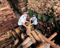 �����ƻ�ʮ��Ԫ��ľ��˽��