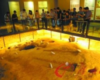 ��ݸ�����첩���֮�ǣ�������������첩���