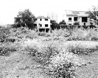 ����̫Һ����ַ����β¥Ⱥ18�꣺���ﱣ��������