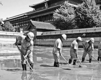 �ʹ����Ǻ��������16�����ࣺ���15����(ͼ)