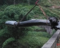 ��������Լ4��ǧ����ľ �������߲���6000Ԫ