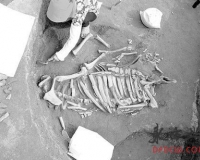 ɽ���״δ��ģ����ض��Ļ���ַ �ִ���������Ƭ