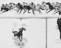 ���Ľ�����ղ��᣺�������������������