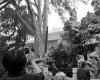 �ʹ���������ԭ����ɽˮ������ ����԰����wifi