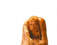 ����ʦ�ƺųɹ�����չ����ʯ