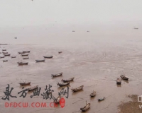 ����֣�����֤�ݱ����ƺ������ֳ�������Զ��