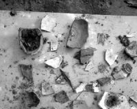 ���ݳ����������ιŴ� �ı����ű��������߹��� 