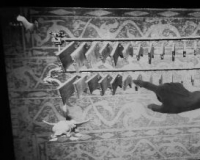 �����ֻ����ǻۻ����ǻ۲���ݺ�֮����