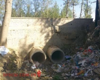 �ӱ��ı����ھ���ڶ�������