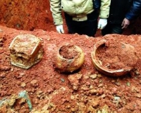 �ϲ�������Ĺ����������ֽ�������˽�Ĺ�����Ŷ�