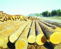 2015���ľ�г�������ɫ