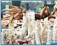 �����Ϻ������������ķ�һ���Ƿ�