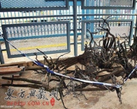 С����ð����̴ľ�����������ͼ�����ڵر���