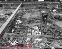 �Ϻ�I�ų��������½�չ��������Ϊ���� 