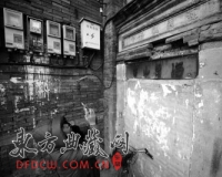 ���������½�����������������