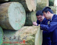 �����º�ľ��������ս