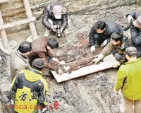 ��������Ĺ�������������ż�