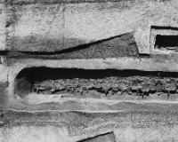 ������������ɴ�ٴ�����