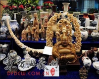 �Ż߱�����Щ�����ߵ�����Ʒ